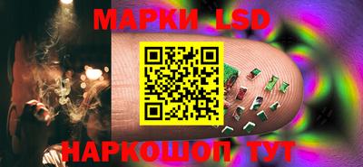 тгк Бийск