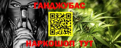 тгк Бийск