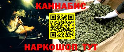 тгк Бийск