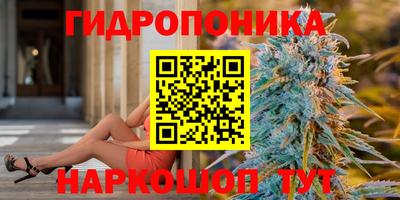 тгк Бийск